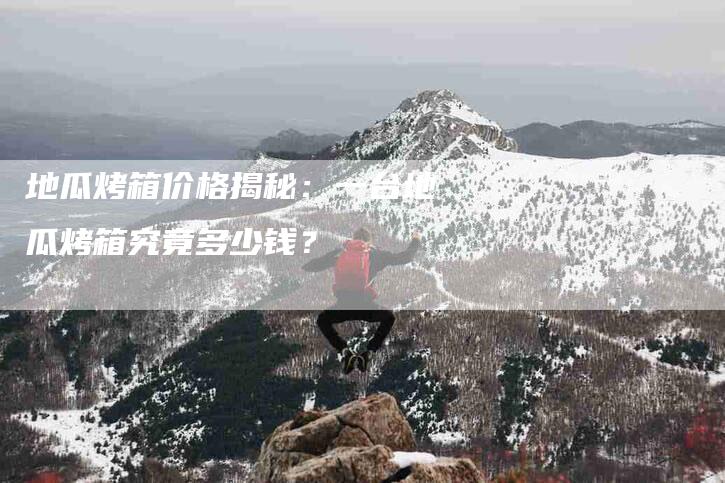 地瓜烤箱价格揭秘：一台地瓜烤箱究竟多少钱？