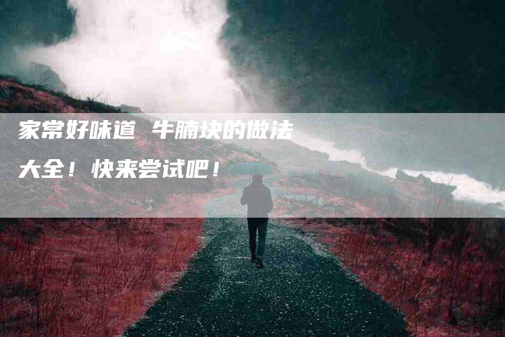 家常好味道 牛腩块的做法大全！快来尝试吧！