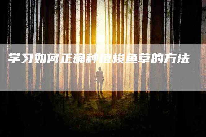 学习如何正确种植梭鱼草的方法-家政服务网