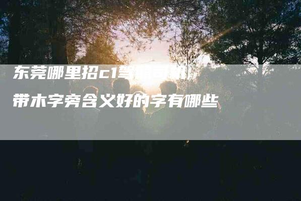 东莞哪里招c1驾照司机,带木字旁含义好的字有哪些-家政服务网