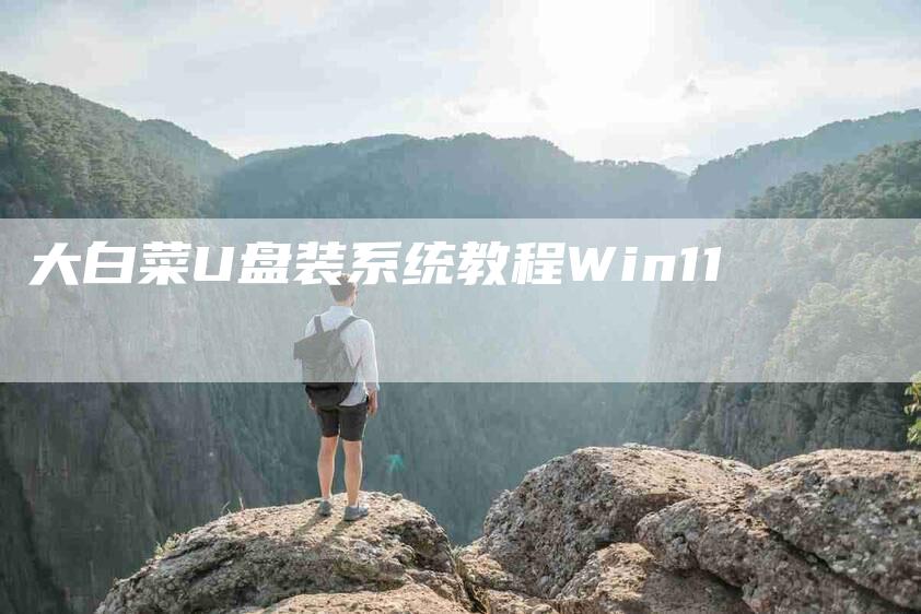 大白菜U盘装系统教程Win11-家政服务网