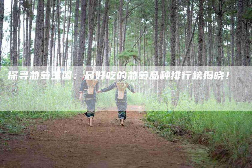 探寻葡萄王国：最好吃的葡萄品种排行榜揭晓！-家政服务网