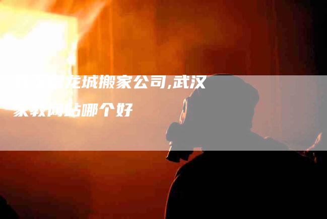 武汉盘龙城搬家公司,武汉家教网站哪个好-家政服务网