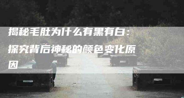 揭秘毛肚为什么有黑有白：探究背后神秘的颜色变化原因-家政服务网