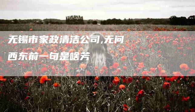 无锡市家政清洁公司,无问西东前一句是啥芳