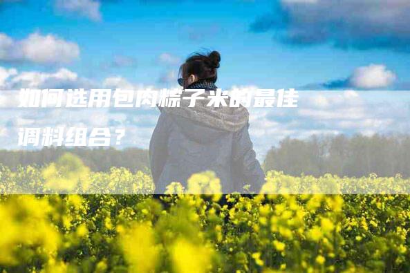 如何选用包肉粽子米的最佳调料组合？-家政服务网