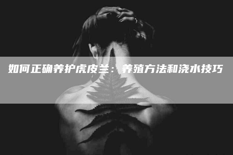 如何正确养护虎皮兰：养殖方法和浇水技巧-家政服务网