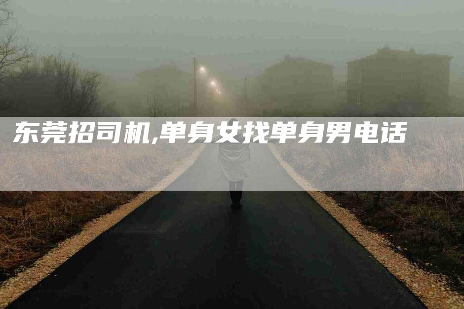 东莞招司机,单身女找单身男电话