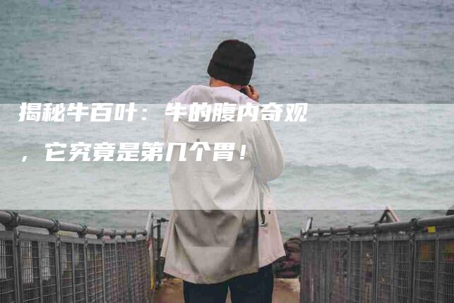 揭秘牛百叶：牛的腹内奇观，它究竟是第几个胃！-家政服务网