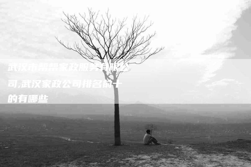 武汉市帮帮家政服务有限公司,武汉家政公司排名前十的有哪些