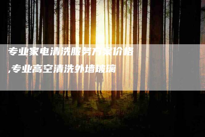 专业家电清洗服务方案价格,专业高空清洗外墙玻璃