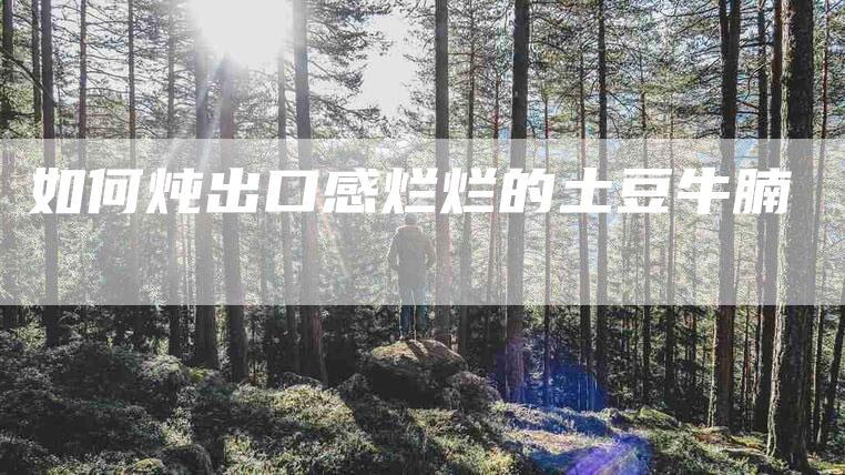 如何炖出口感烂烂的土豆牛腩