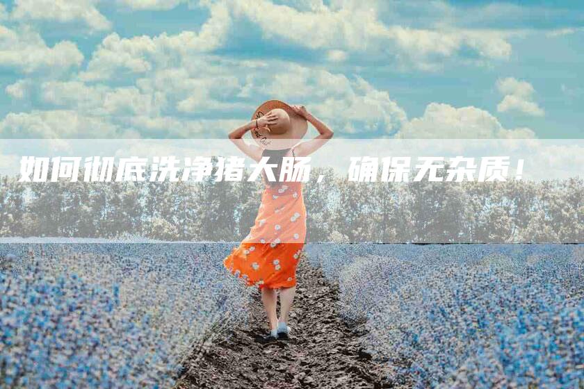 如何彻底洗净猪大肠，确保无杂质！-家政服务网