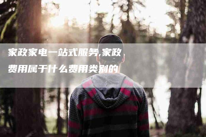 家政家电一站式服务,家政费用属于什么费用类别的-家政服务网