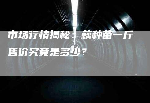 市场行情揭秘：藕种苗一斤售价究竟是多少？