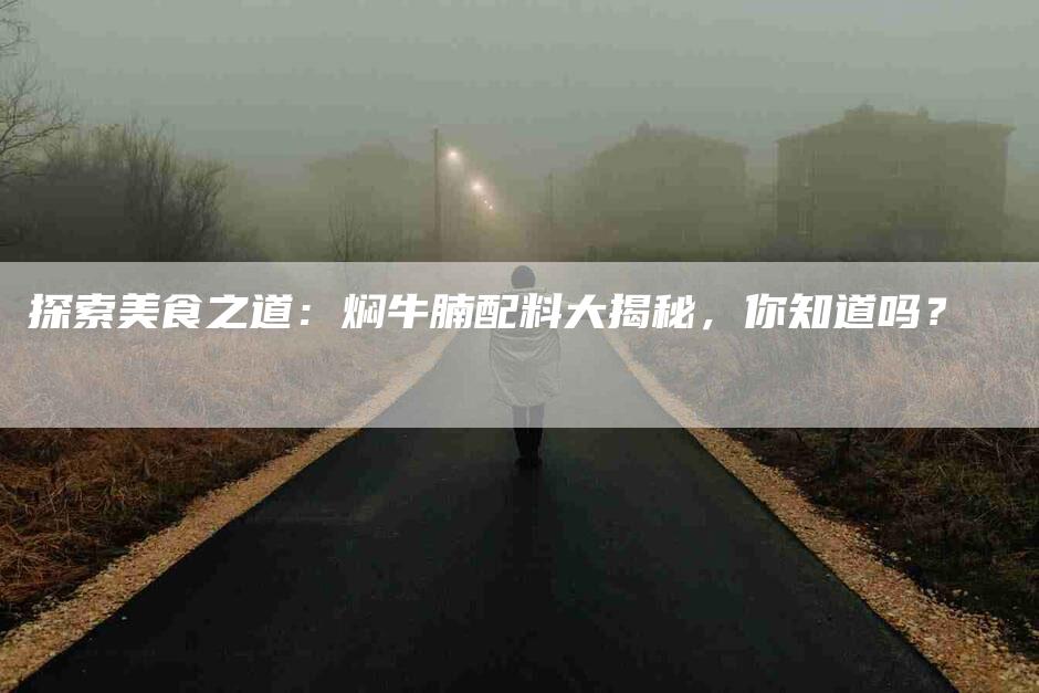 探索美食之道：焖牛腩配料大揭秘，你知道吗？
