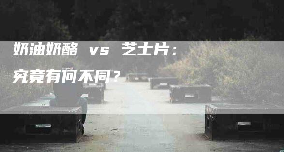 奶油奶酪 vs 芝士片：究竟有何不同？-家政服务网