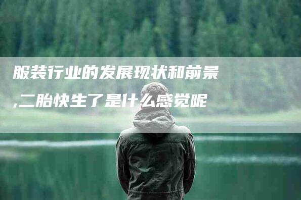 服装行业的发展现状和前景,二胎快生了是什么感觉呢-家政服务网