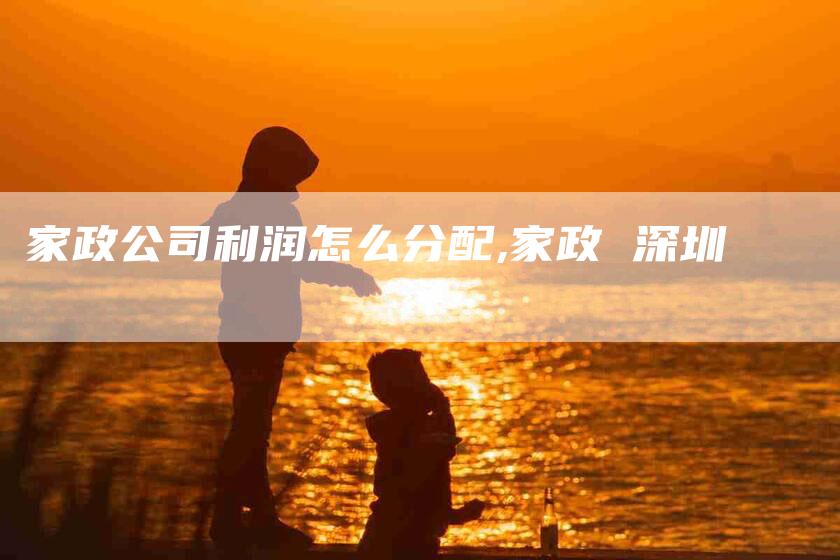 家政公司利润怎么分配,家政 深圳-家政服务网