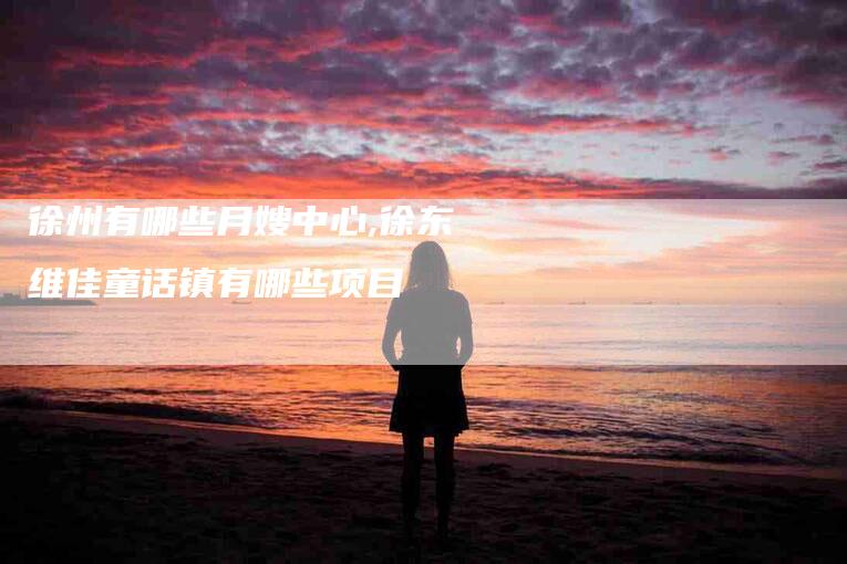 徐州有哪些月嫂中心,徐东维佳童话镇有哪些项目