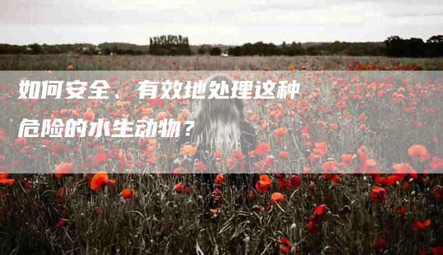 如何安全、有效地处理这种危险的水生动物？-家政服务网