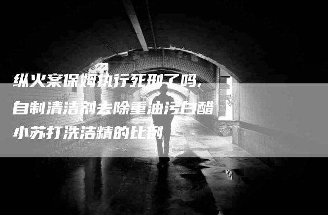 纵火案保姆执行死刑了吗,自制清洁剂去除重油污白醋小苏打洗洁精的比例