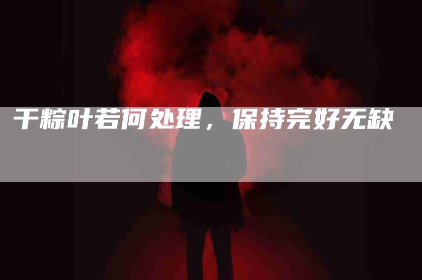 干粽叶若何处理，保持完好无缺-家政服务网