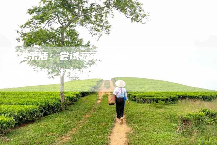 养生乐活：尝试蔬菜浓汤豆浆机食谱，打造健康美味！